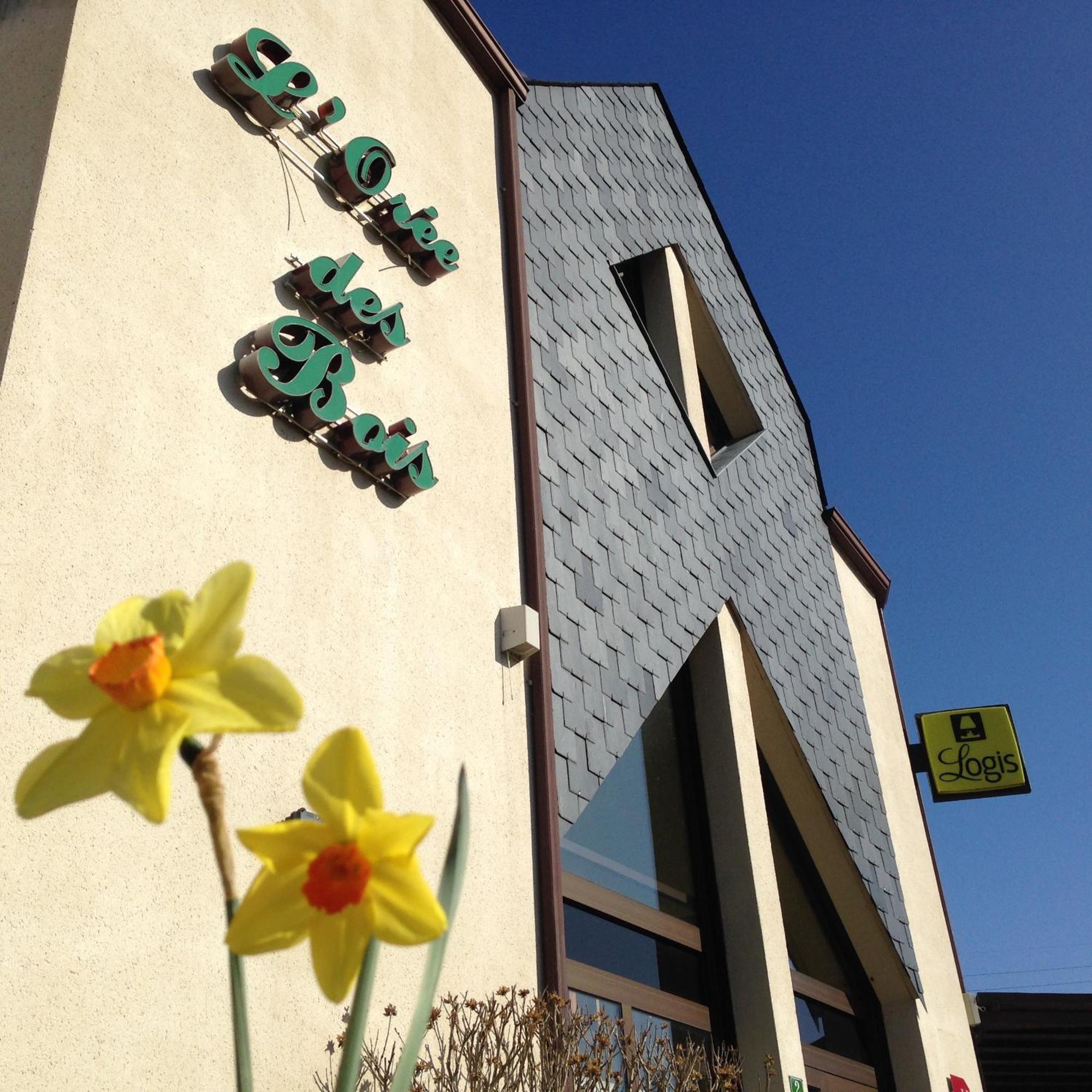 Logis Hotel Restaurant L'Oree Des Bois La Breille-les-Pins ภายนอก รูปภาพ